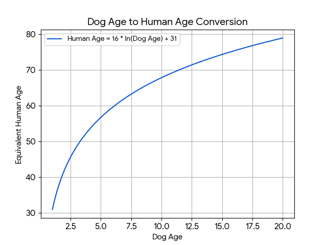 dog age to human age conversion chart